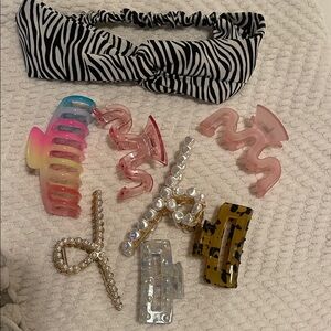 Source Unknown Zebra and Colorful Hair Clip Collection